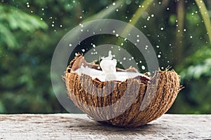 Coconut fruit and milk splash inside it on a background of a pal