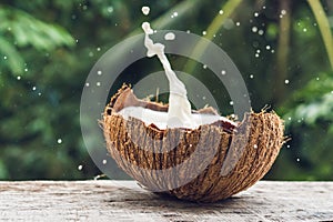 Coconut fruit and milk splash inside it on a background of a palm tree