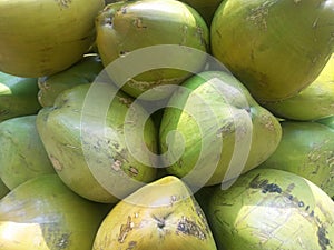 A coconut is a fruit not a nut. Closeup . A coconut falls under a subcategory known as drupes