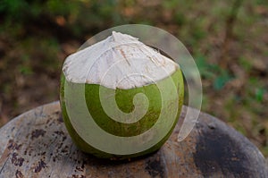 Coconut fruit on wooden chair