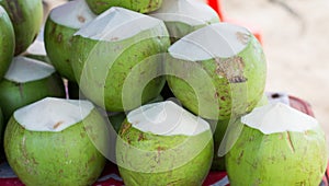 Coconut fruits for sales