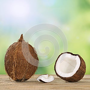 Coconut fruits in summer with copyspace