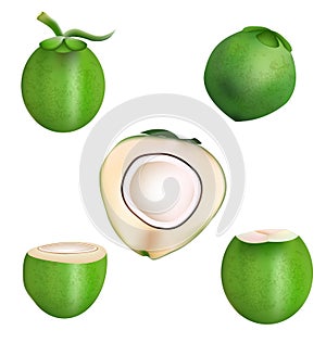 Coconut and haft slice coconut vector design