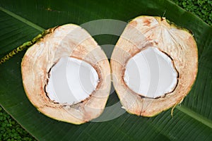 Coconut half on green background
