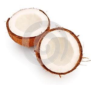 Coconut halves photo