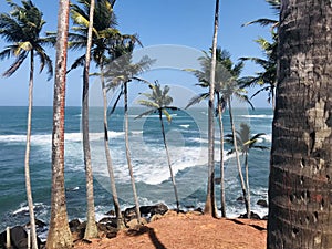 coconut hill mirissa The most beautiful place in Sri Lanka