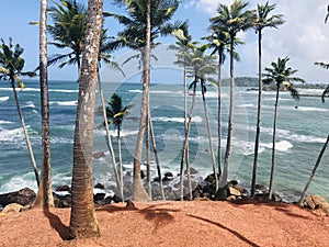 coconut hill mirissa The most beautiful place in Sri Lanka