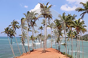 Coconut hill Mirissa Sri Lanka