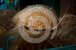 Coconut Husk inside a sack ready to be thrown photo