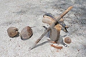 Coconut husk peeling tools use to removes the Coconut fruit husk photo