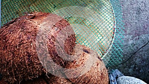 Coconut husks and shells closeup