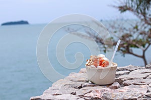 Coconut ice cream in a coconut shell container in horizontal axis