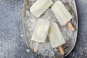 Coconut ice cream popsicles