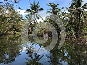 Coconut island at Sri Nakhon Khuean Khan Park