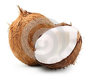 Coconut isolated