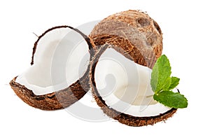 Coconut isolated on white background