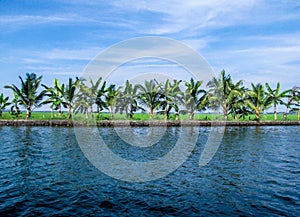 Coconut lagoon at Vembanad lake, Kerala, India