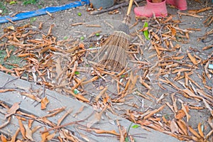 Coconut leaf broom