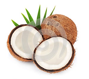 Coconut with leaves