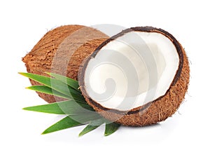 Coconut with leaves