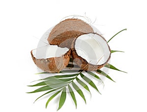 Coconut with leaves