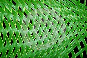 Coconut leaves