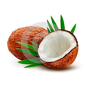 Coconut with leaves.