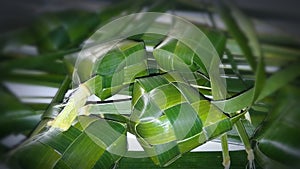 Coconut leaves Craft photo