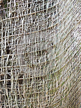 coconut leaves fibres texture in brown colour