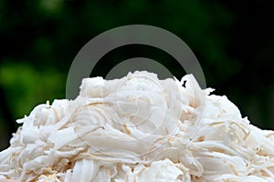 Coconut meat