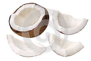 Coconut meat c. nucifera kernel, paths