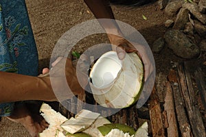 Coconut Meat is Expertly Removed for a Snack