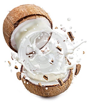Coconut milk flying out from cracked coconut fruit. File contains clipping path