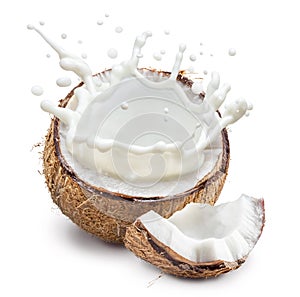 Coconut milk flying out from cracked coconut fruit and piece of fruit near it. File contains clipping path