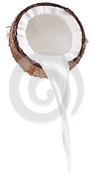 Coconut milk pouring out of coconut fruit.