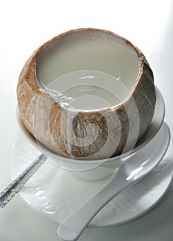 Coconut milk pudding