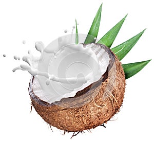 Coconut with milk splash inside.