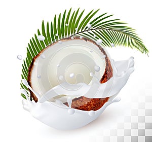 Coconut in a milk splash on a transparent background. photo