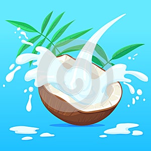 Coconut milk splash. Vector coco palm nut fruit with milky creamy splashes isolated on background for fresh tropical