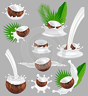 Coconut with milk splash, vector realistic illustration