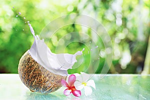 Coconut in milk white cream splash,