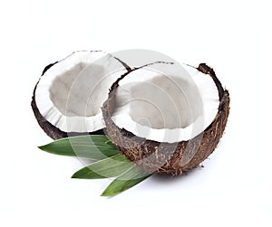 Coconut nuts with leaves