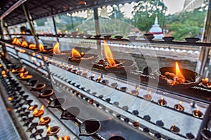 Coconut oil lamps in temple