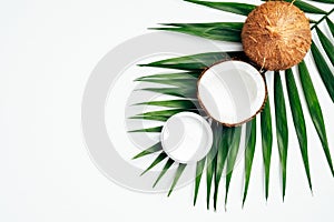 Coconut oil moisturizing cream, natural SPA lotion for hands and body with tropical palm leaf on white background. Flat lay, top