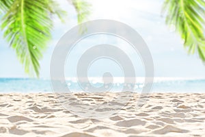 Coconut palm leaves against blue sky and beautiful beach in Phuket, Thailand