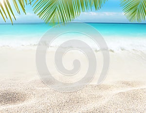 Coconut palm leaves hanging over the tropical white sandy beach and turquoise sea