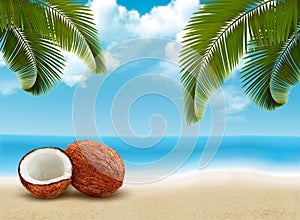 Coconut with palm leaves. Summer vacation background.