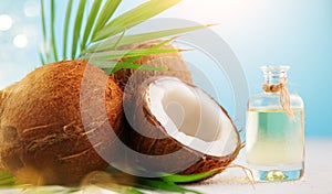 Coconut palm oil in a bottle with coconuts and green palm tree leaf on a blue and  white background. Beauty treatments