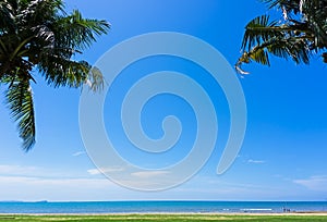 Coconut palm tree against blue sky in Tanjung Aru beach