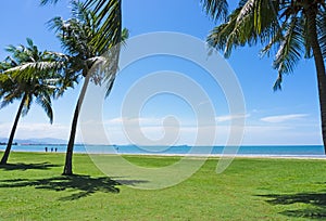 Coconut palm tree against blue sky in Tanjung Aru beach